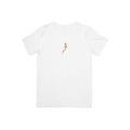 Koi White & Brown